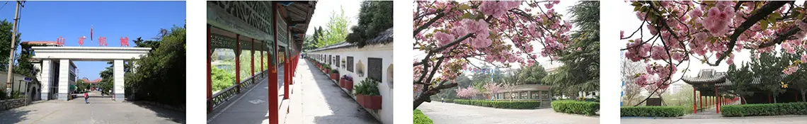 Shandong Shankuang Machinery Co., Ltd. Shandong Shankuang Machinery Co., Ltd.