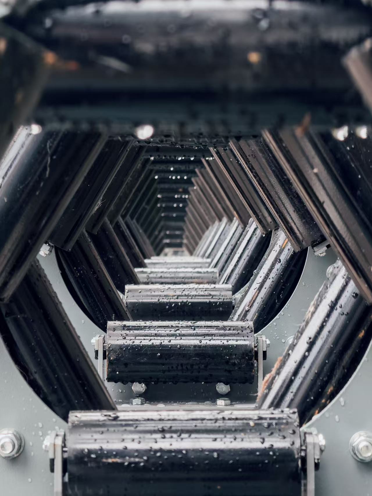 Хоолойн туузан дамжуулагч