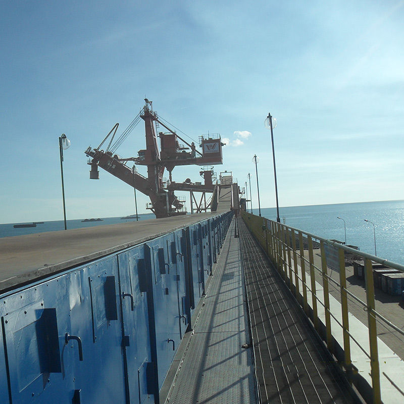 Хоолойн туузан дамжуулагч